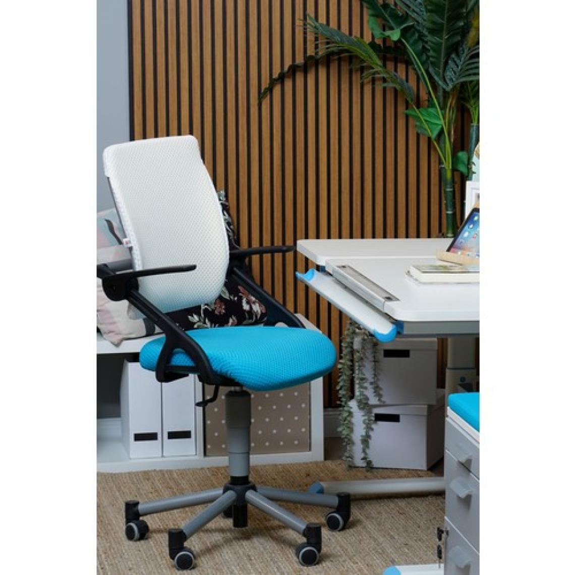 Creo Mobili Liseli Çalışma Sandalyesi, Ergonomik Sırt Ayarlı Sandalye - Taşıma kap. 120kg, Beyaz/Mavi - Vega