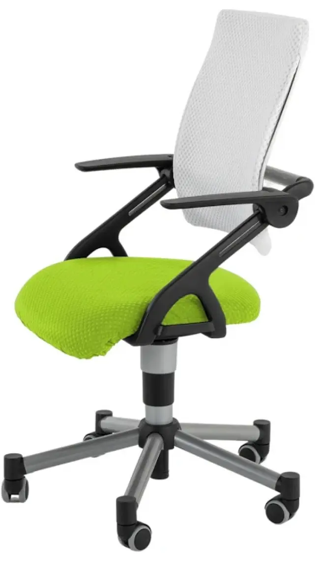 Creo Mobili Öğrenci Çalışma Sandalyesi, Derinliği Ayarlanabilir Sandalye - Taşıma kap. 120kg, Beyaz/Yeşil - Vega