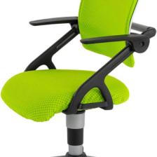 Creo Mobili Evde Kullanıma Uygun Ofis Tipi Kollu Sandalye - Taşıma kap. 120kg, Yeşil/Yeşil - Vega