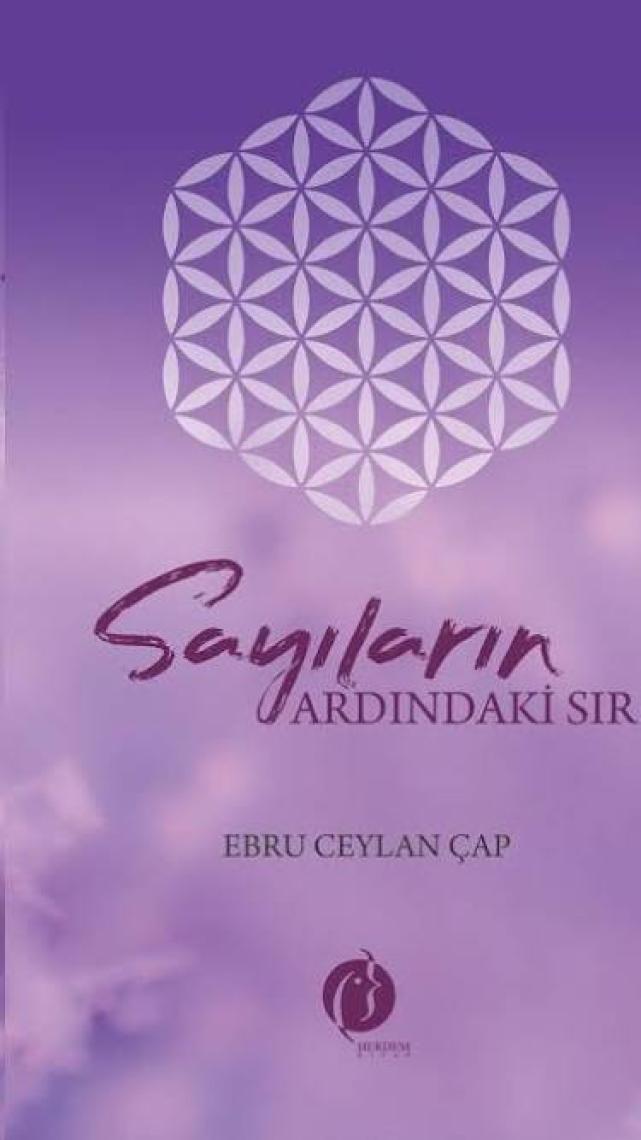 Sayıların Ardındaki Sır
