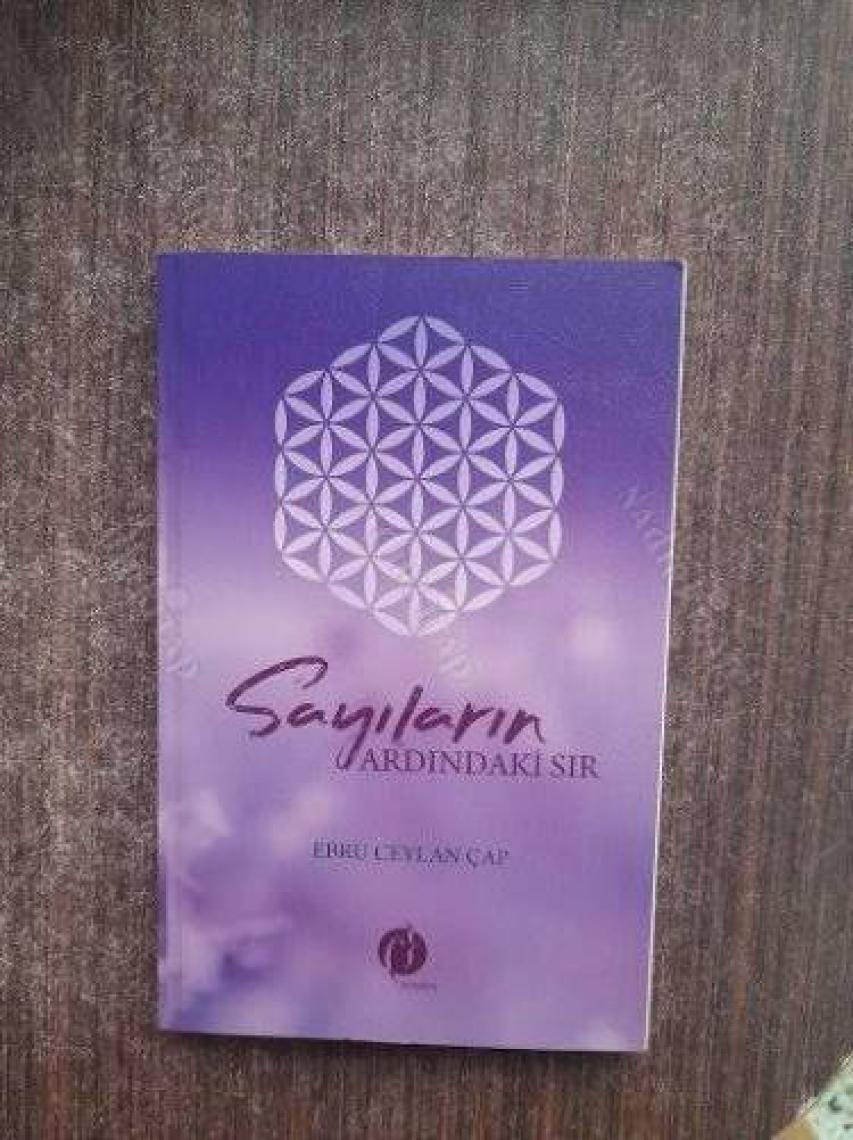 Sayıların Ardındaki Sır