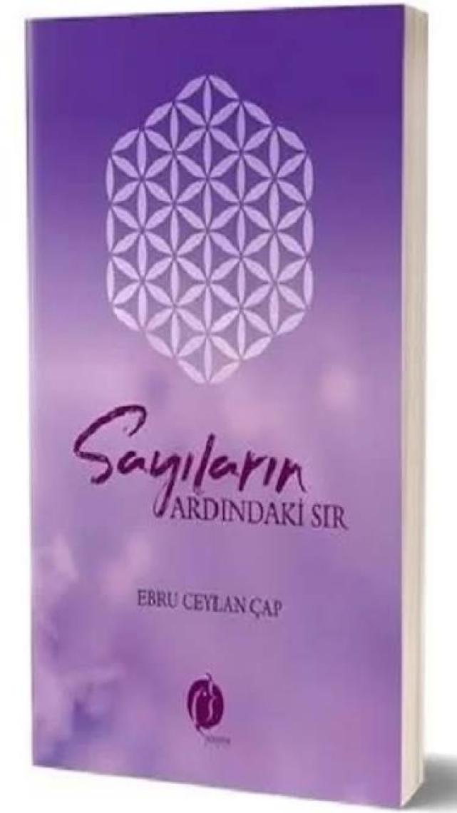 Sayıların Ardındaki Sır