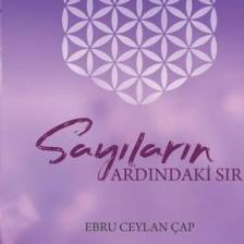 Sayıların Ardındaki Sır