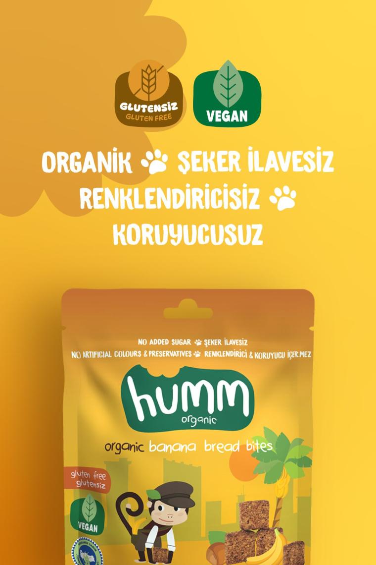 Organik Glutensiz Vegan Muzlu Kek - 30g