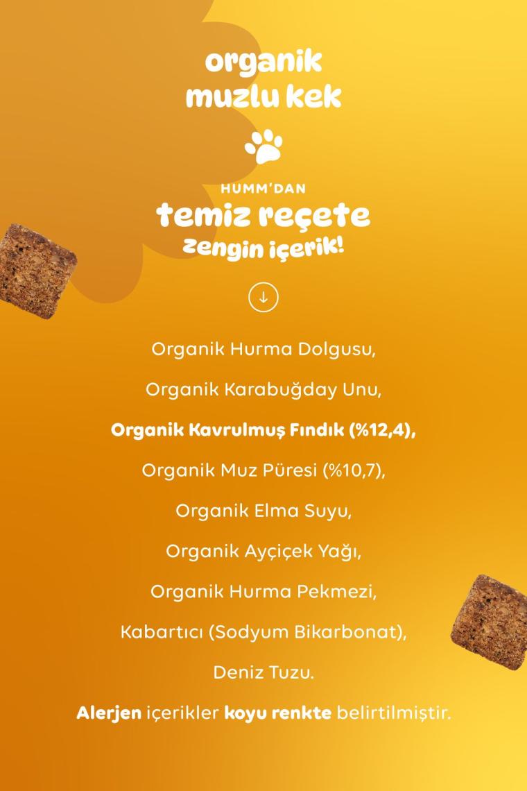 Organik Glutensiz Vegan Muzlu Kek - 30g