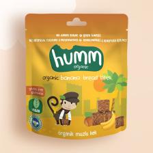 Organik Glutensiz Vegan Muzlu Kek - 30g
