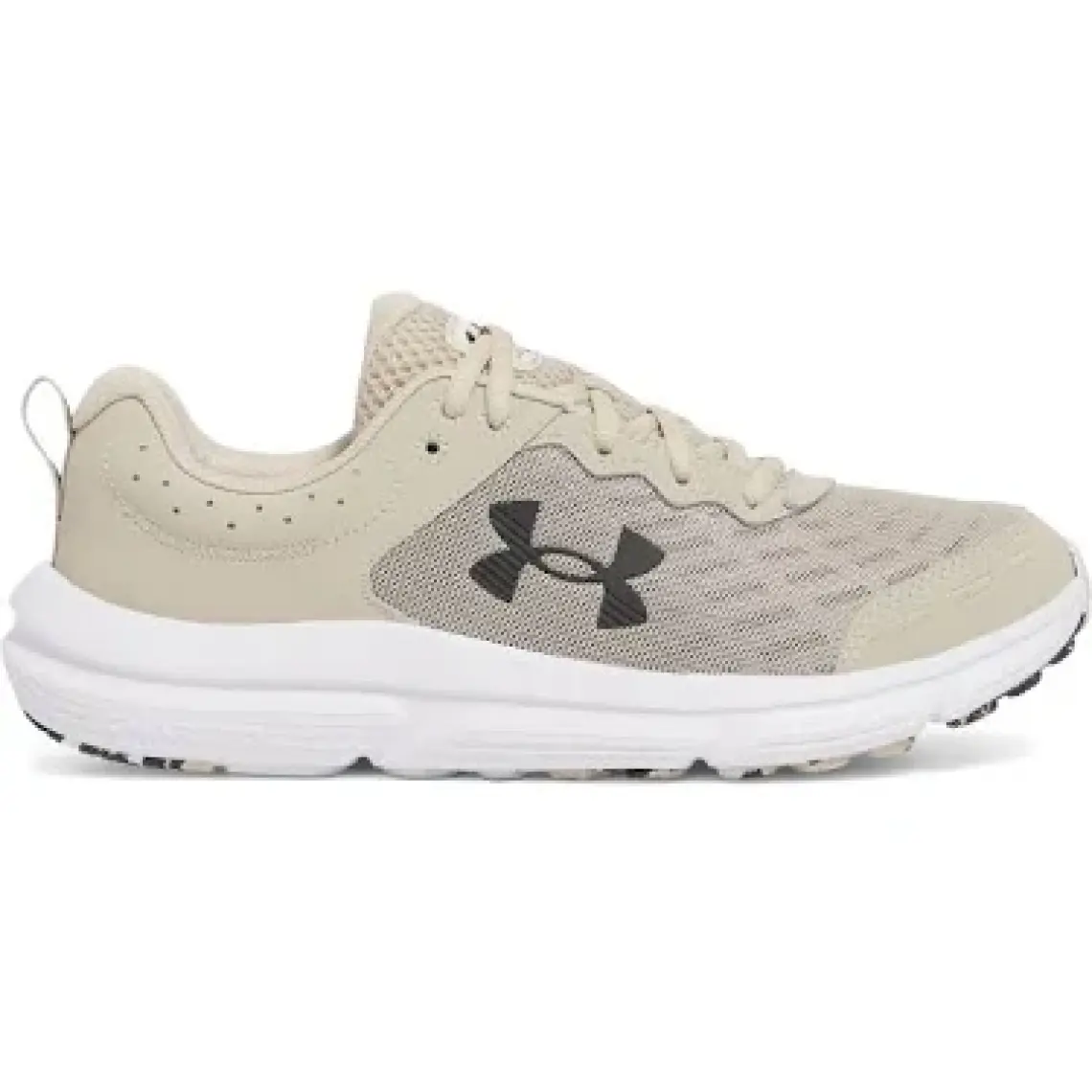 Under Armour Ua Charged Assert 10 Siyah Erkek Koşu Ayakkabısı 3026175-001
