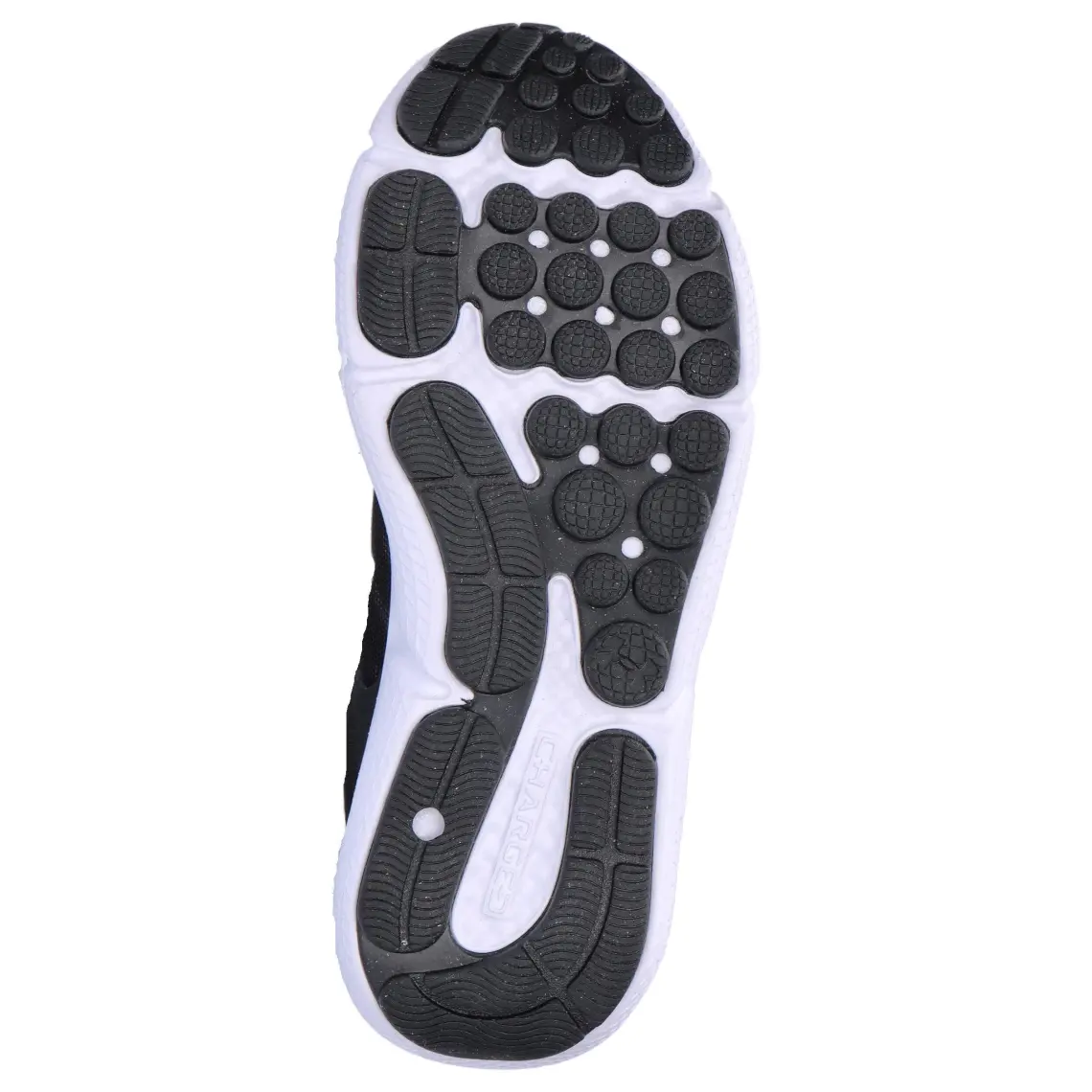 Under Armour Erkek UA Charged Assert 10 Koşu Ayakkabısı 3026175-001