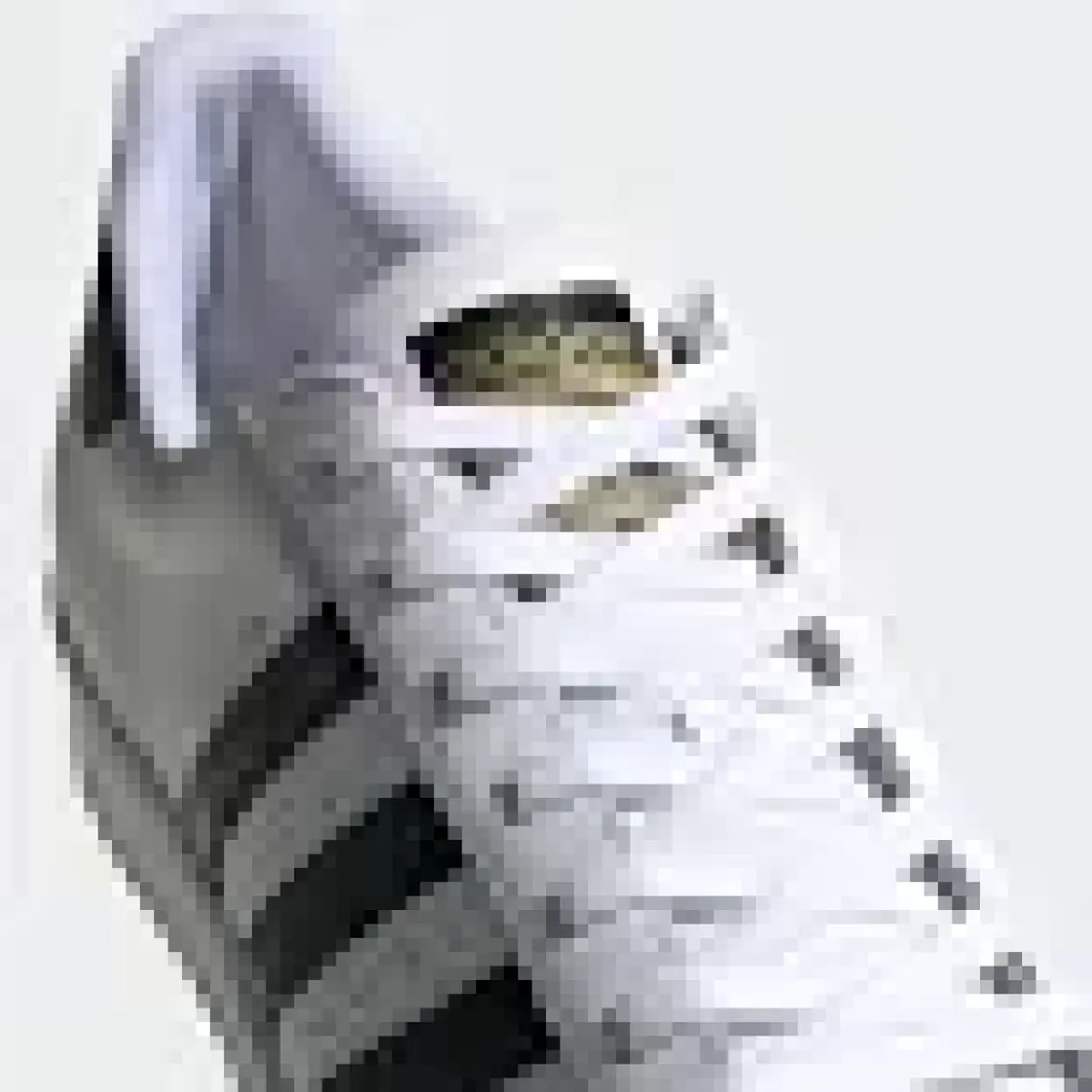 adidas Originals EG4958 Superstar Shoes