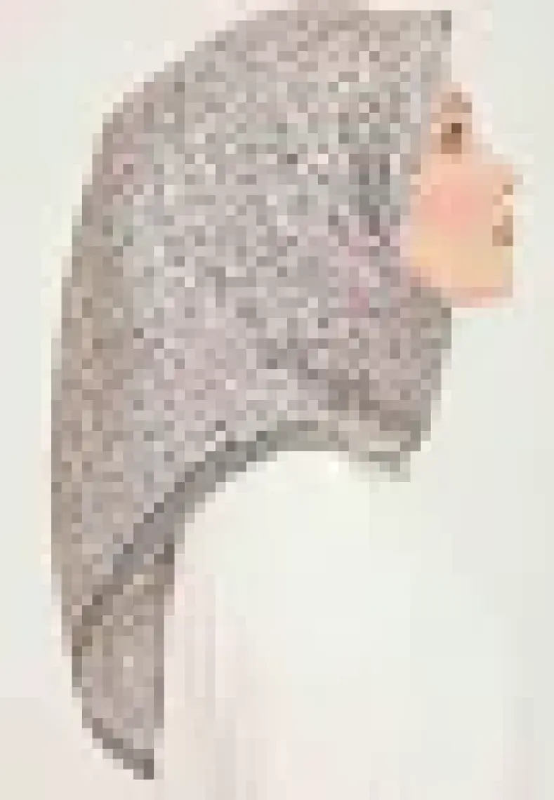 Armine Twill İpek Eşarp 23KA9013 04