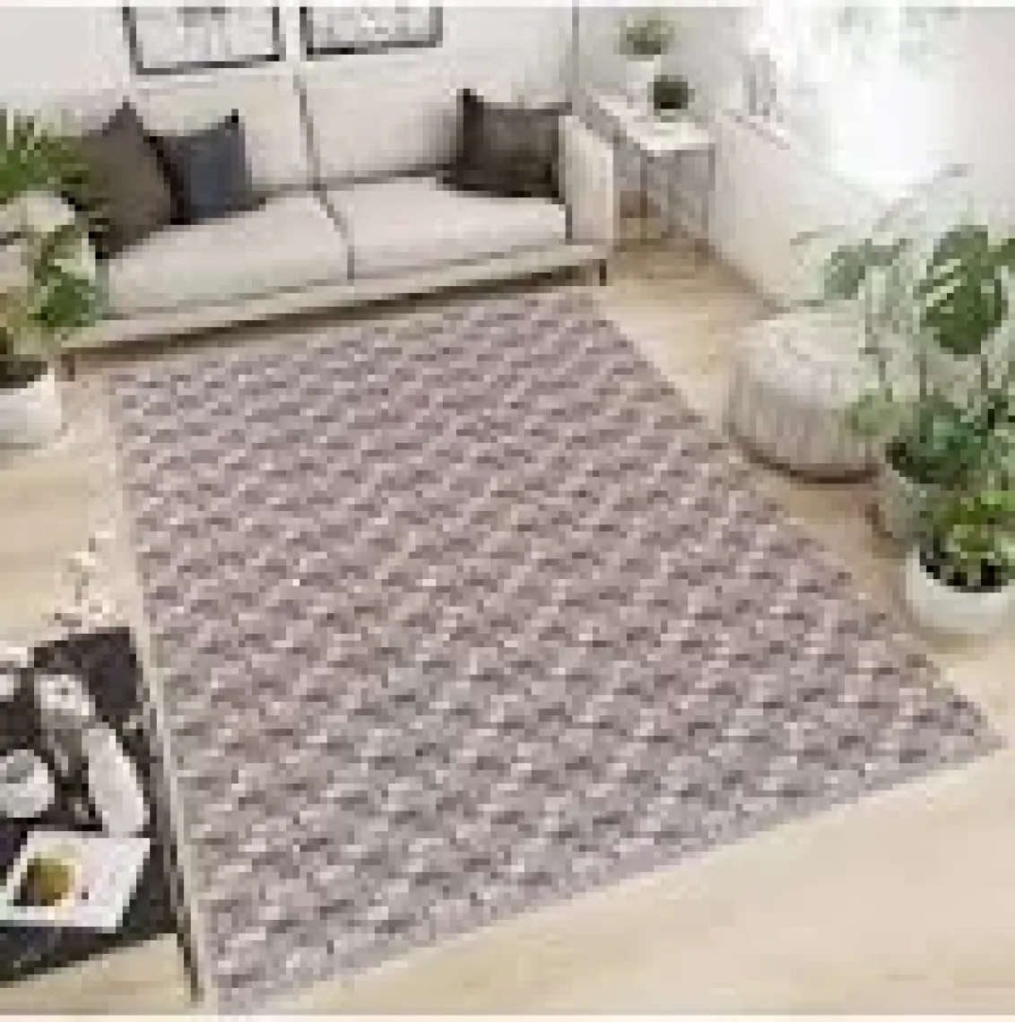 Woof Home Halı Örtüsü Savan 6m2 Dokuma 200X300
