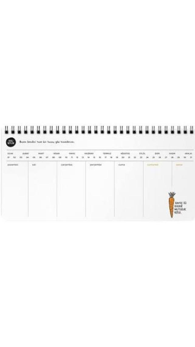 Keskin Color Hisli Şeyler 13x27 Stickerli Tarihsiz Haftalık Planner - Zirvedeyim Canım Duymuyorum
