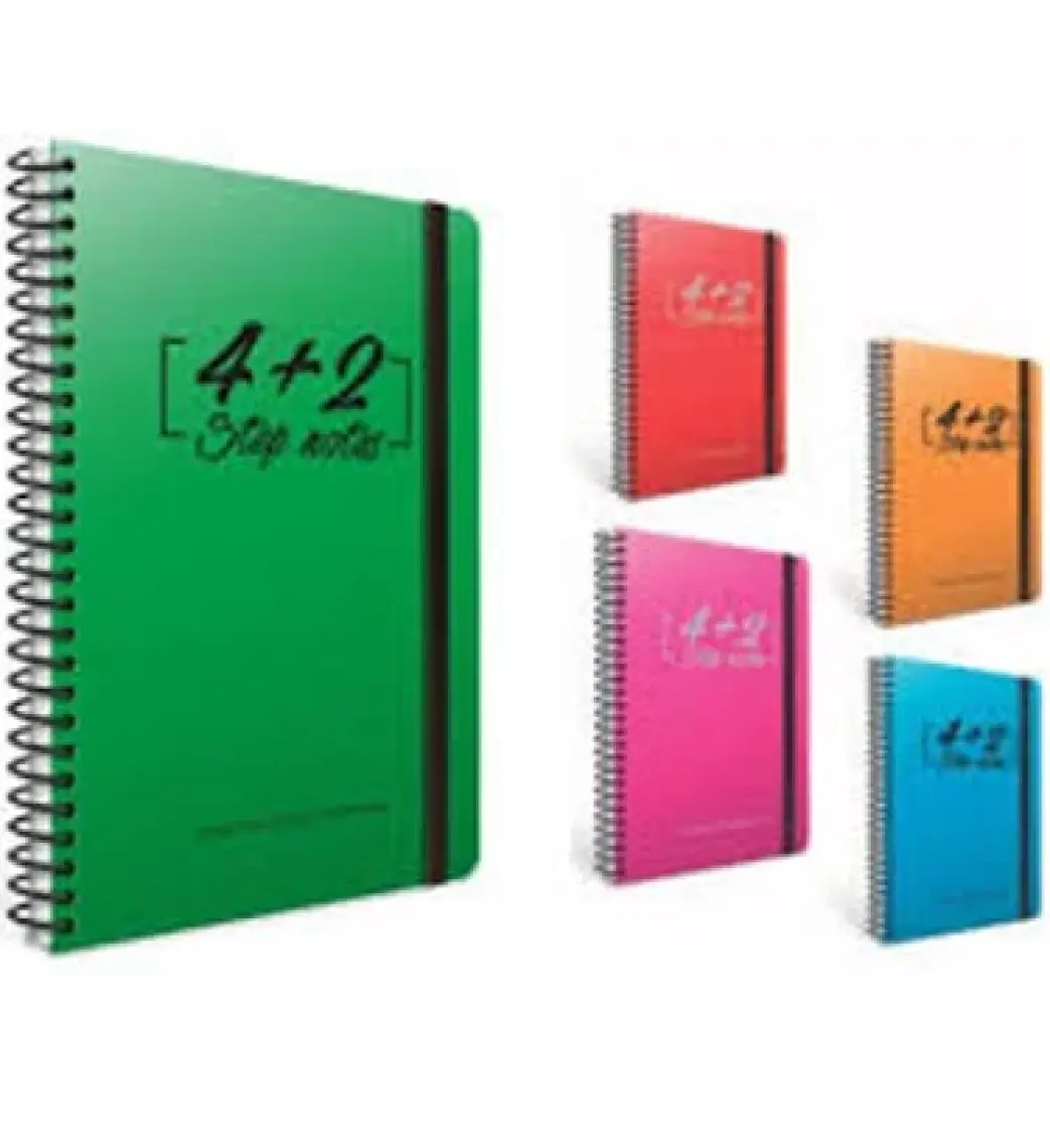 Gıpta Step (17x24) 150 Yp. Plas. 6 Seperatörlü Defter (1272) 4 Kareli + 2 Çizgili Bölüm