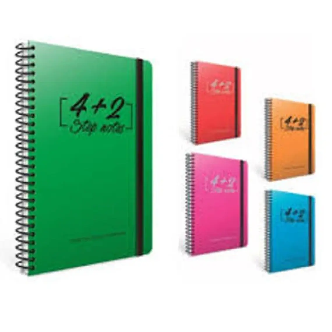 Gıpta Step (17x24) 150 Yp. Plas. 6 Seperatörlü Defter (1272) 4 Kareli + 2 Çizgili Bölüm