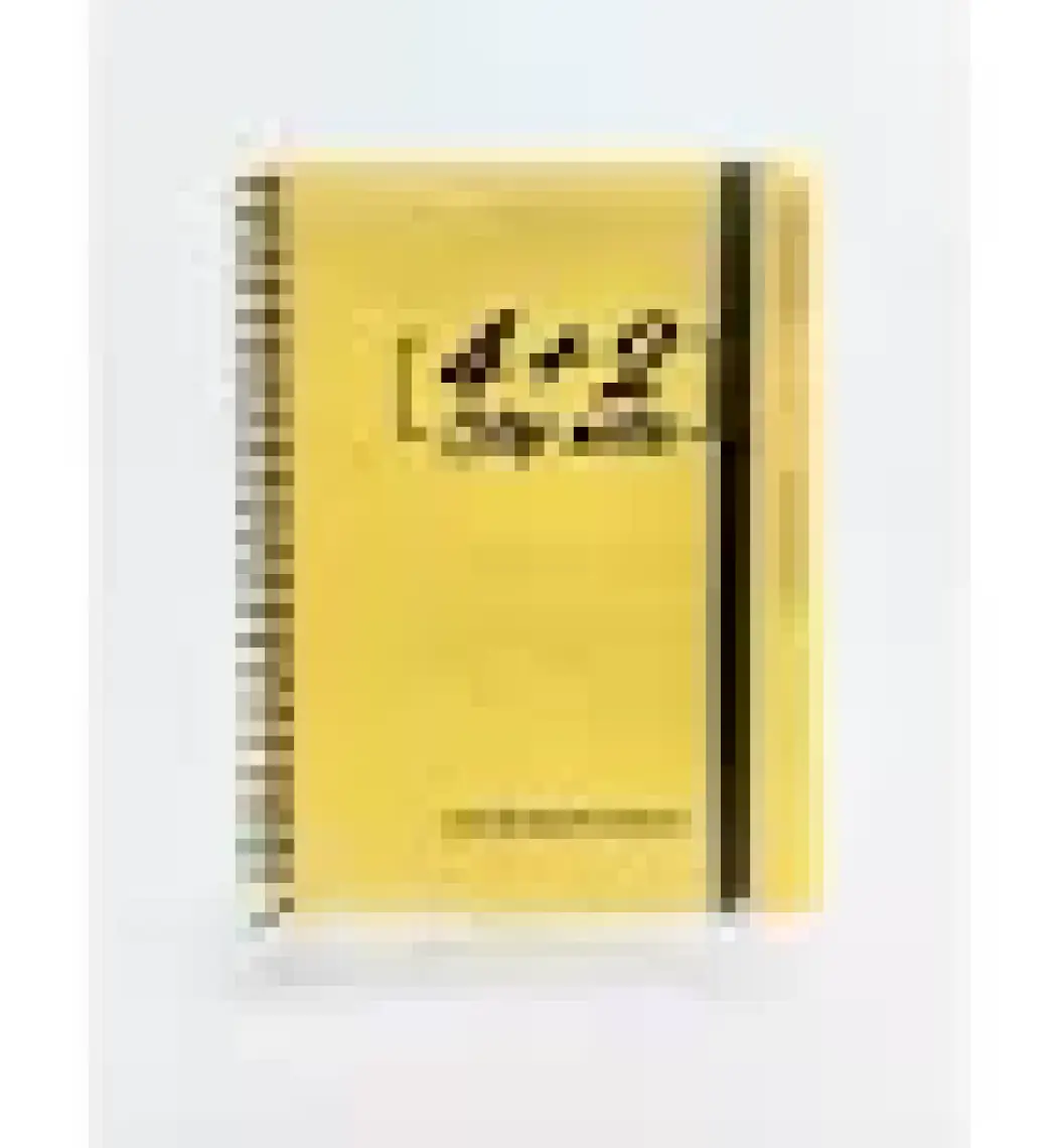 Gıpta Step (17x24) 150 Yp. Plas. 6 Seperatörlü Defter (1272) 4 Kareli + 2 Çizgili Bölüm