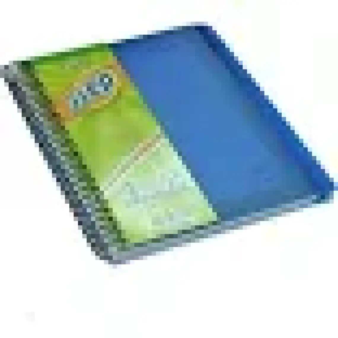 Gıpta Step (17x24) 150 Yp. Plas. 6 Seperatörlü Defter (1272) 4 Kareli + 2 Çizgili Bölüm