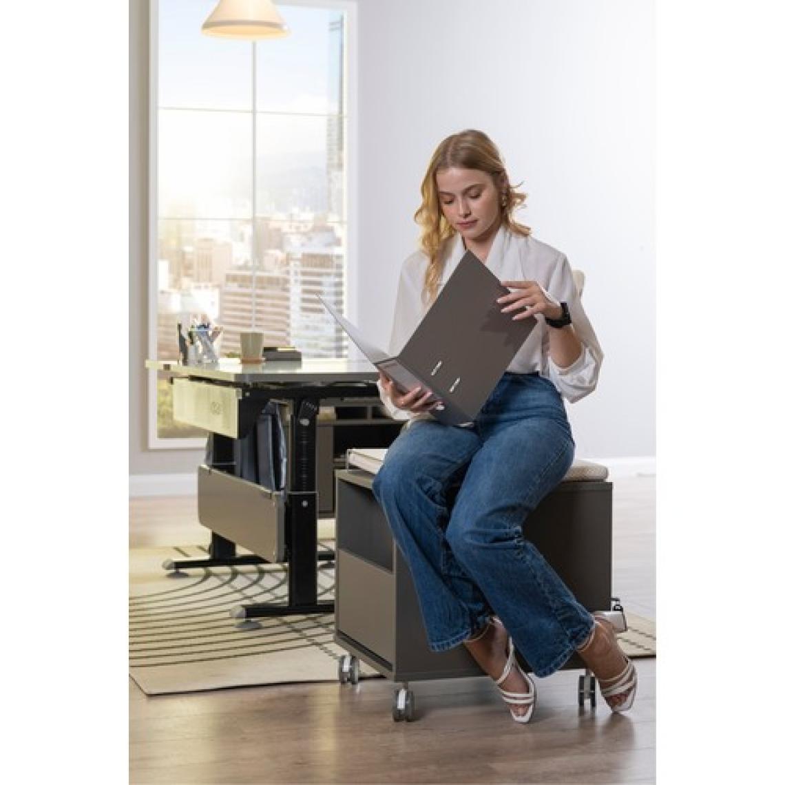 Creo Mobili Freelance Çalışanlar İçin Tekerlekli Keson, Çekmeceli - Taşıma kap. 100kg, Antrasit/Yeşil - Vega
