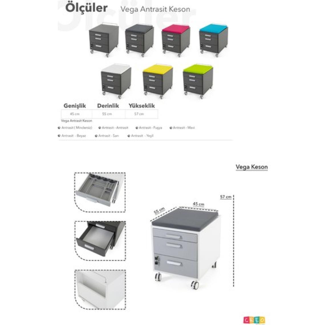 Creo Mobili Liseli Öğrenciler İçin Pratik Keson - Tekerlekli - Taşıma kap. 100kg, Antrasit/Fuşya - Vega