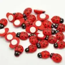 Erdal Ticaret Uğur Böceği Yapışkanlı (1 Paket 50 Ad) kırmızı