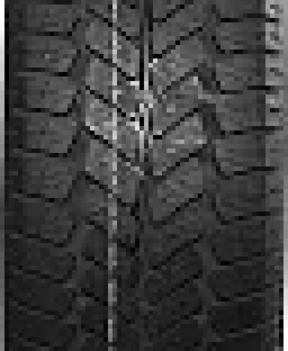 Debica 185/65 R14 86T Navigator 2 Ms 4 Mevsim Lastiği ( Üretim Yılı: 2023 )