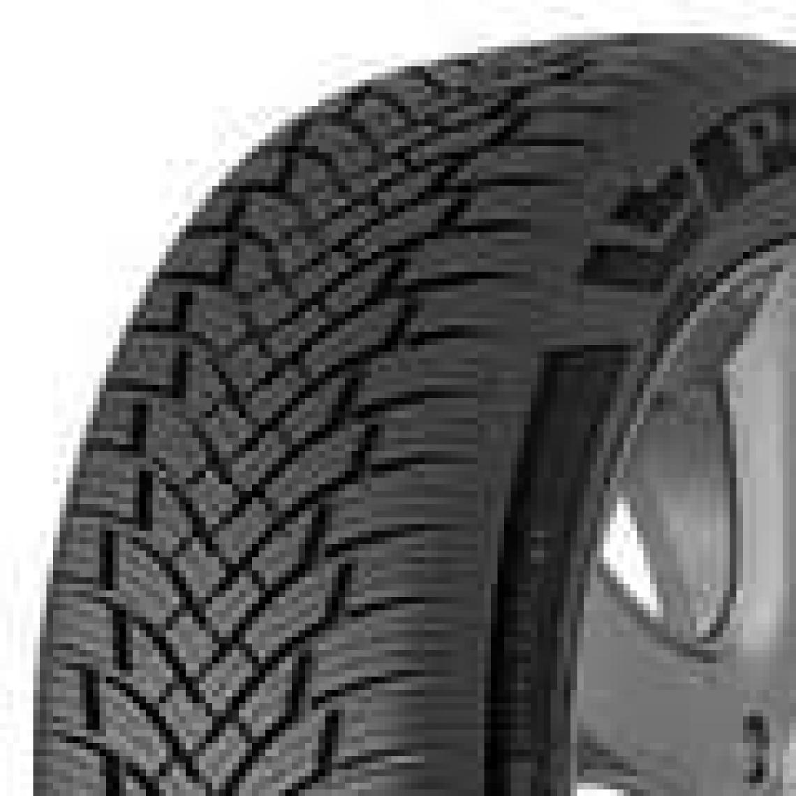 Petlas 195/65 R15 91H MultiAction PT565 Oto 4 Mevsim Lastiği ( Üretim Yılı: 2023 )