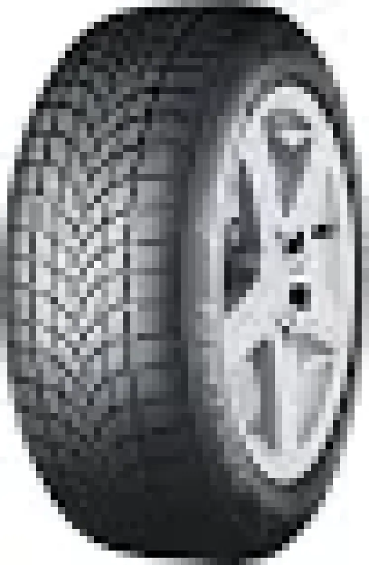 Dayton 175/70 R13 82T DW510E Oto Kış Lastiği ( Üretim Yılı: 2023 )