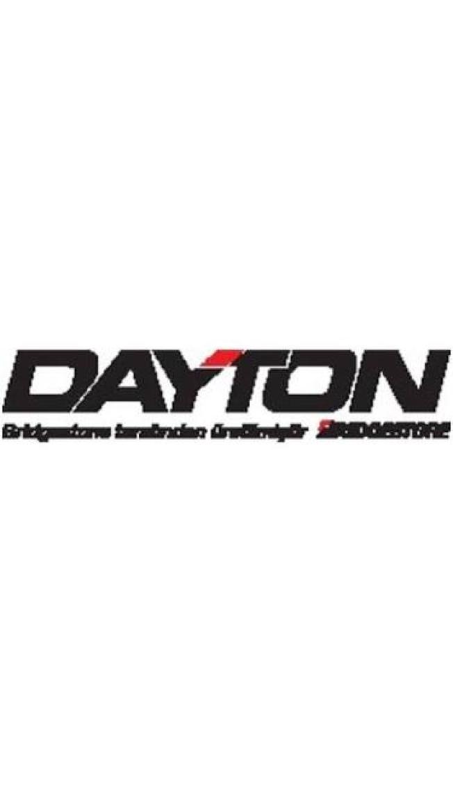 Dayton 185/65 R15 88T DW510E Kış Lastiği (Üretim YILI:2024)