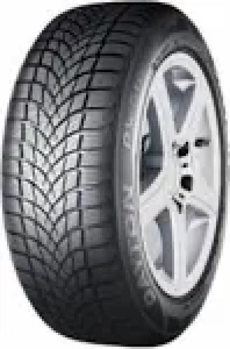 Dayton 195/65 R15 91T Dw510E Kış Lastiği (Üretim Yılı: 2024)