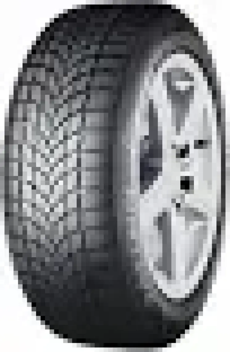Dayton 195/65 R15 91T Dw510E Kış Lastiği (Üretim Yılı: 2024)