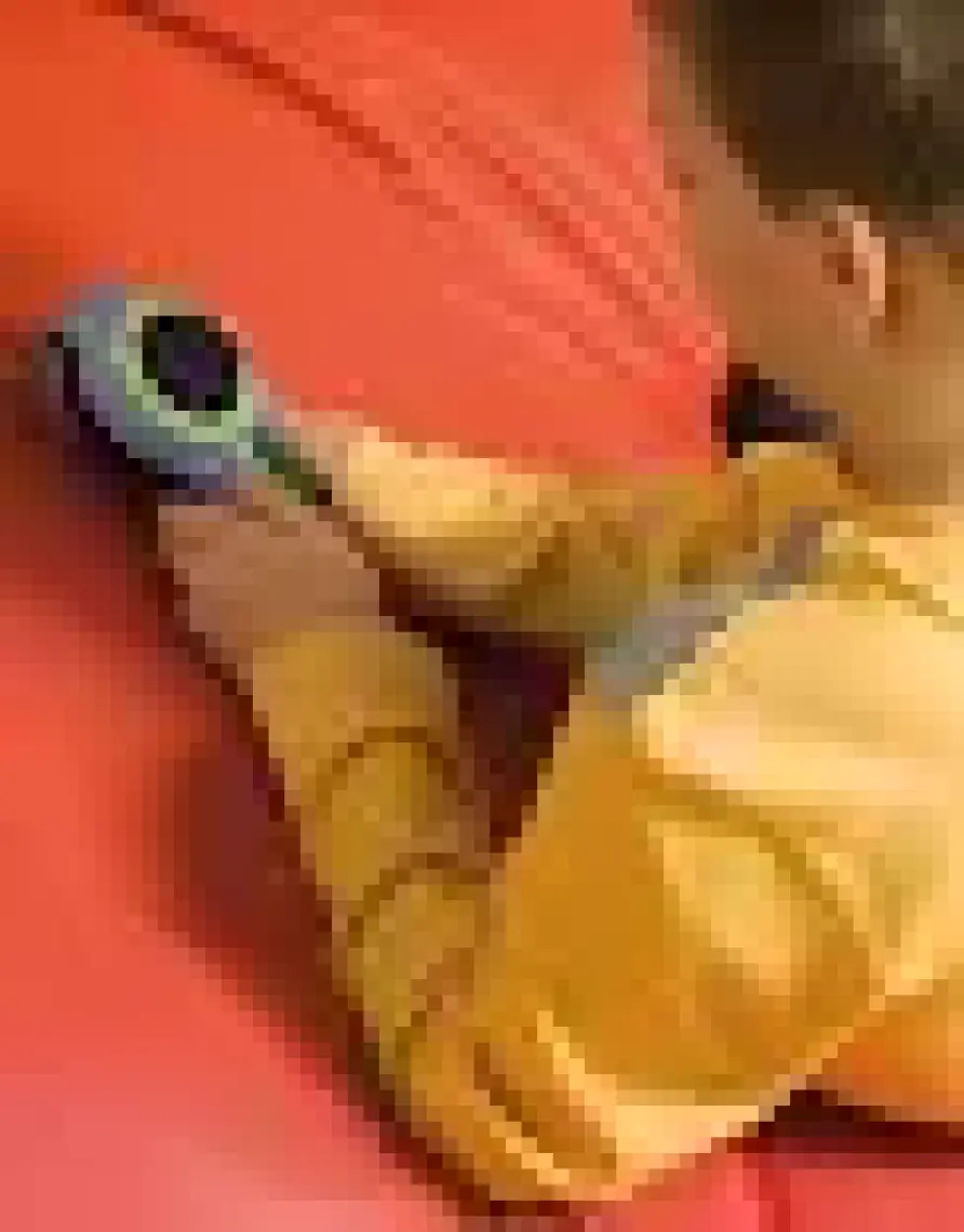 Dymo Junior Kişisel Mekanik Etiketleme Makinesi