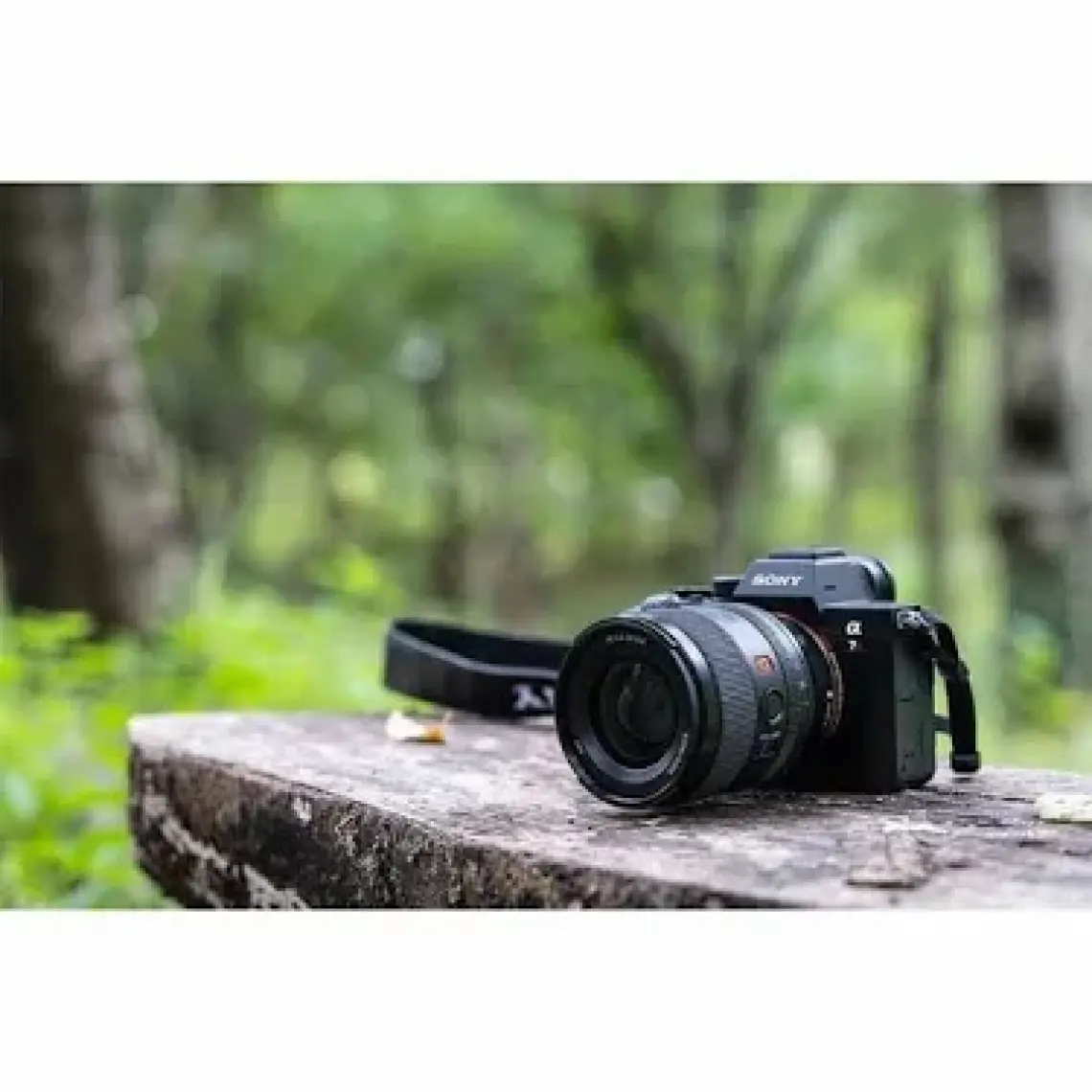 Sony Fe 35MM F/1.4 Gm Lens (SEL35F14GM)