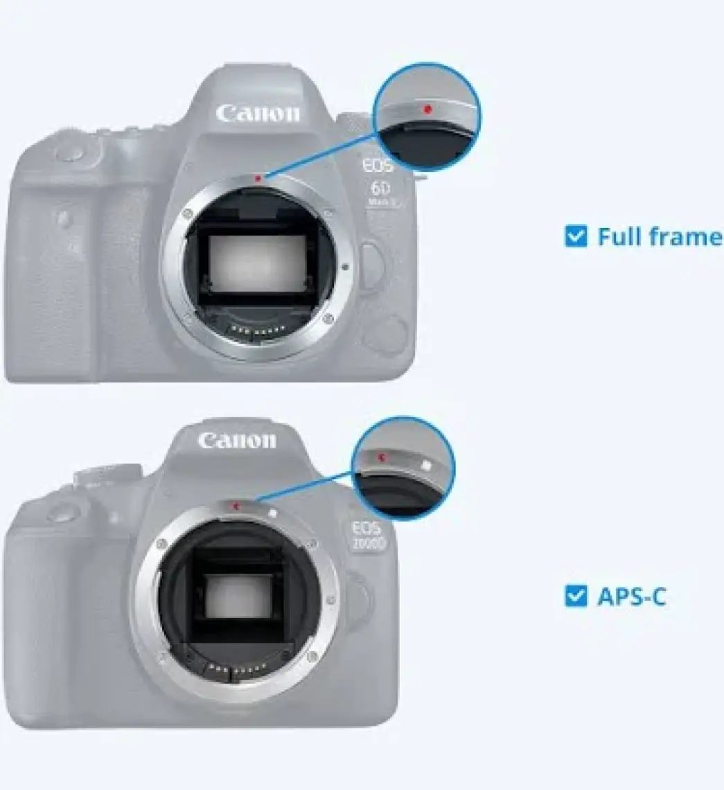 Canon Ef 24-105Mm F/4L II Is Usm Lens