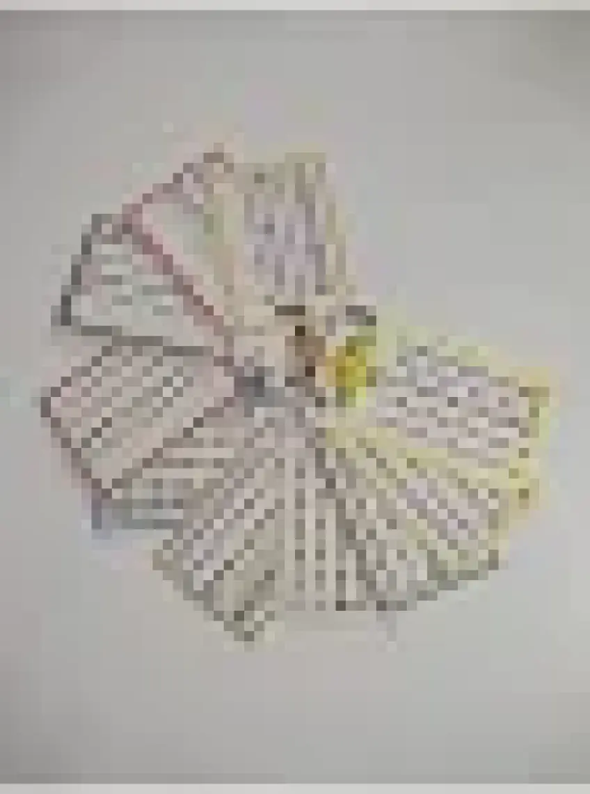 Redka Çarpım Tablosu Kartelası Zincirli