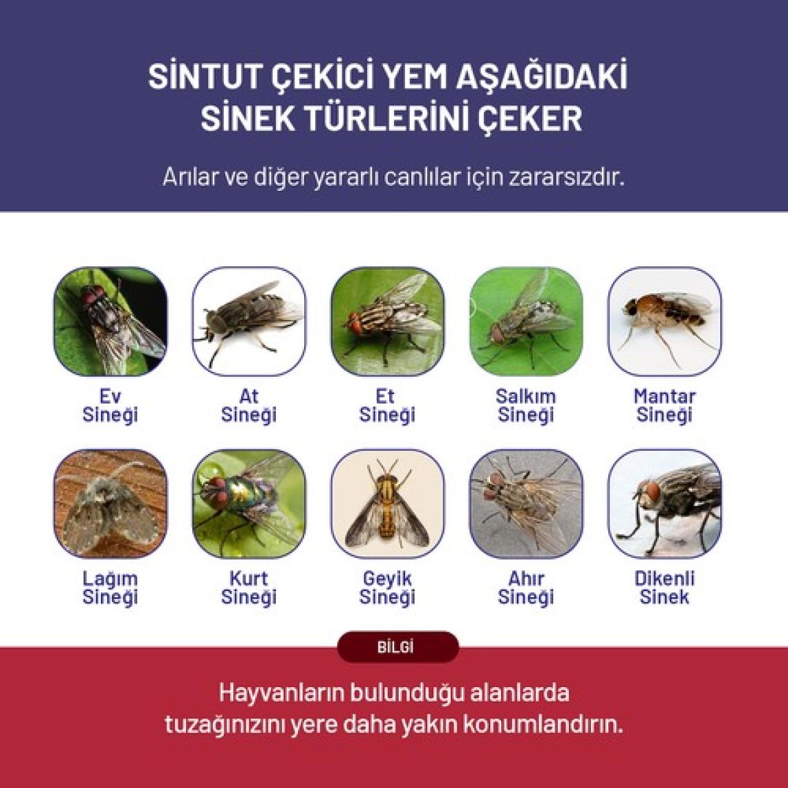 Sintut 12 Adet 25 gr Sintut Karasinek Çekici Yem