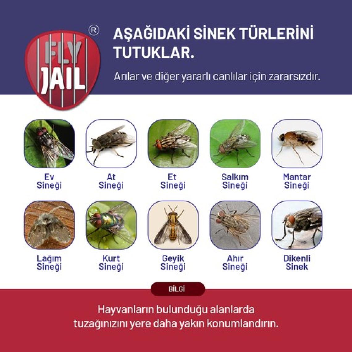 Sintut 2 Adet Sintut L | Karasinek Tuzağı