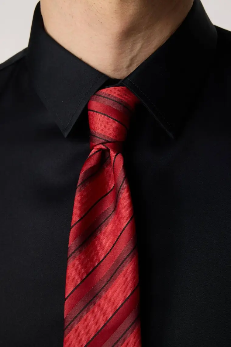 Tudors Slim Fit Non Iron Siyah Erkek Gömlek