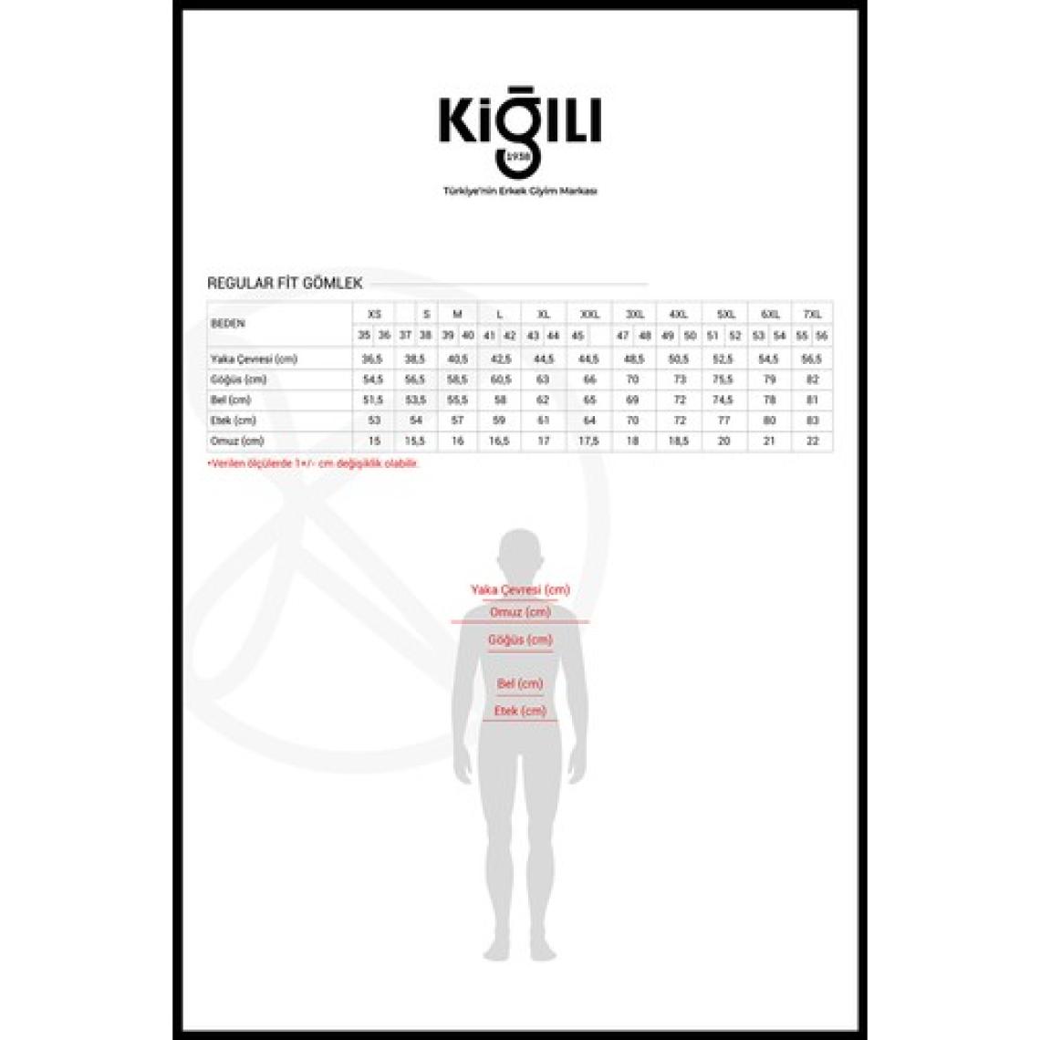 Uzun Kol Regular Fit Non Iron Ütü Gerektirmeyen Pamuklu Gömlek