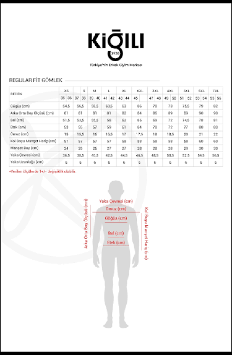 Uzun Kol Regular Fit Non Iron Ütü Gerektirmeyen Pamuklu Gömlek