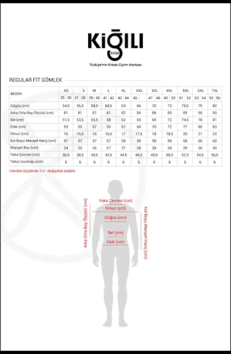 Uzun Kol Regular Fit Non Iron Ütü Gerektirmeyen Pamuklu Gömlek