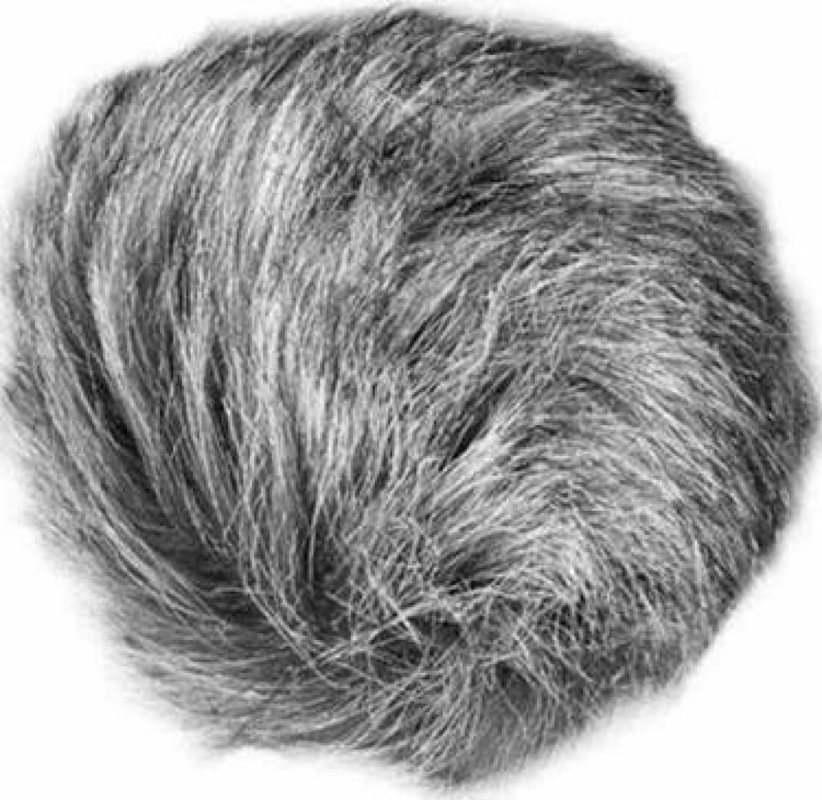 Zoom Mikrofon Universal Windscreen