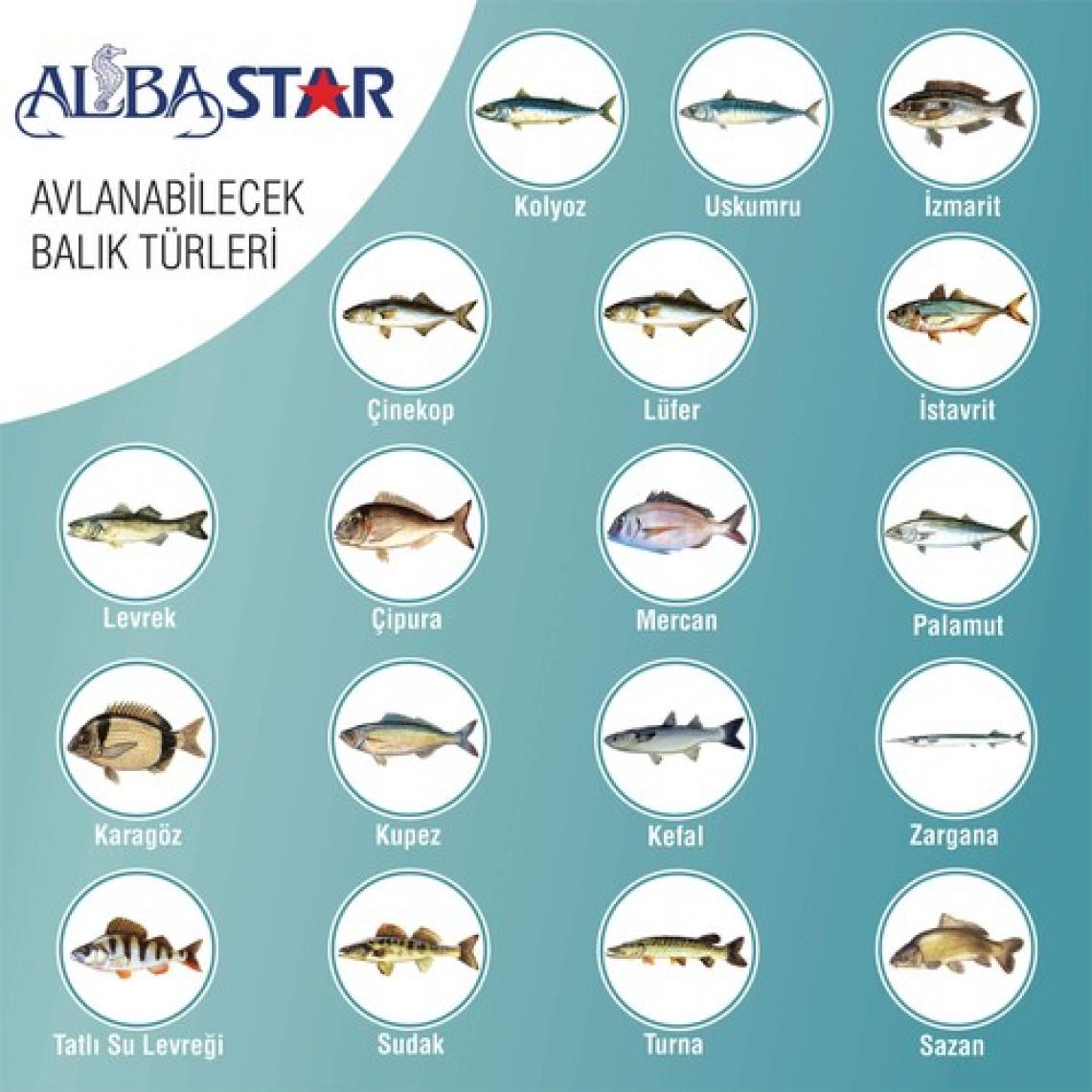 AlbaStar Tam Takım Göl ve Deniz Olta Seti