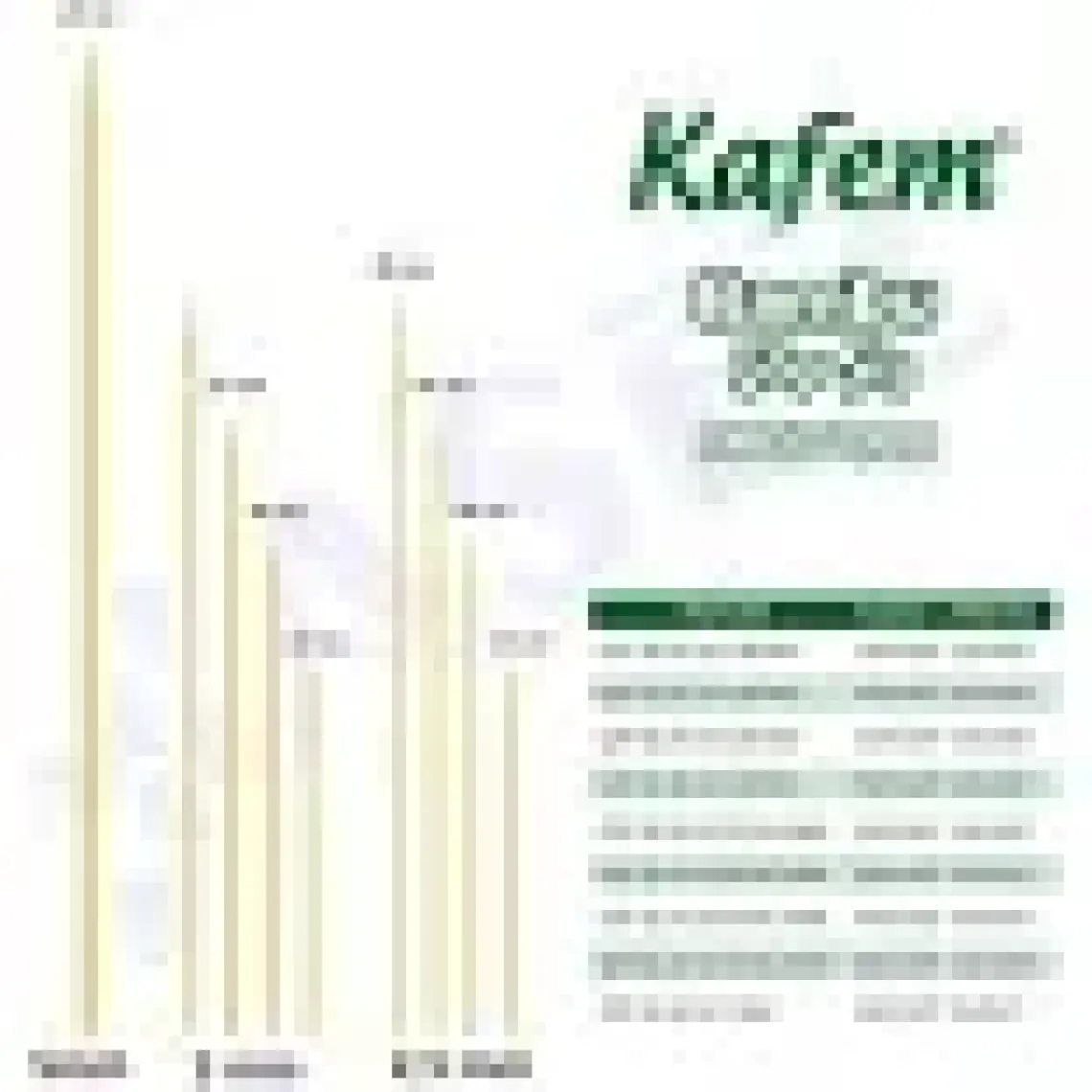 Kafem Çöp Şiş Bambu 25 cm 100'lü