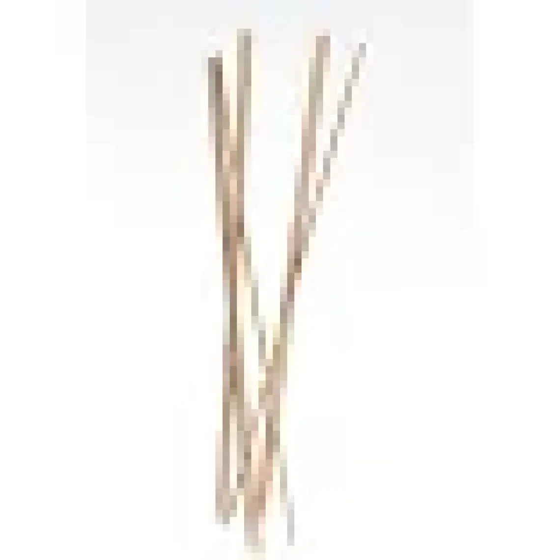 Kafem Çöp Şiş Bambu 25 cm 100'lü