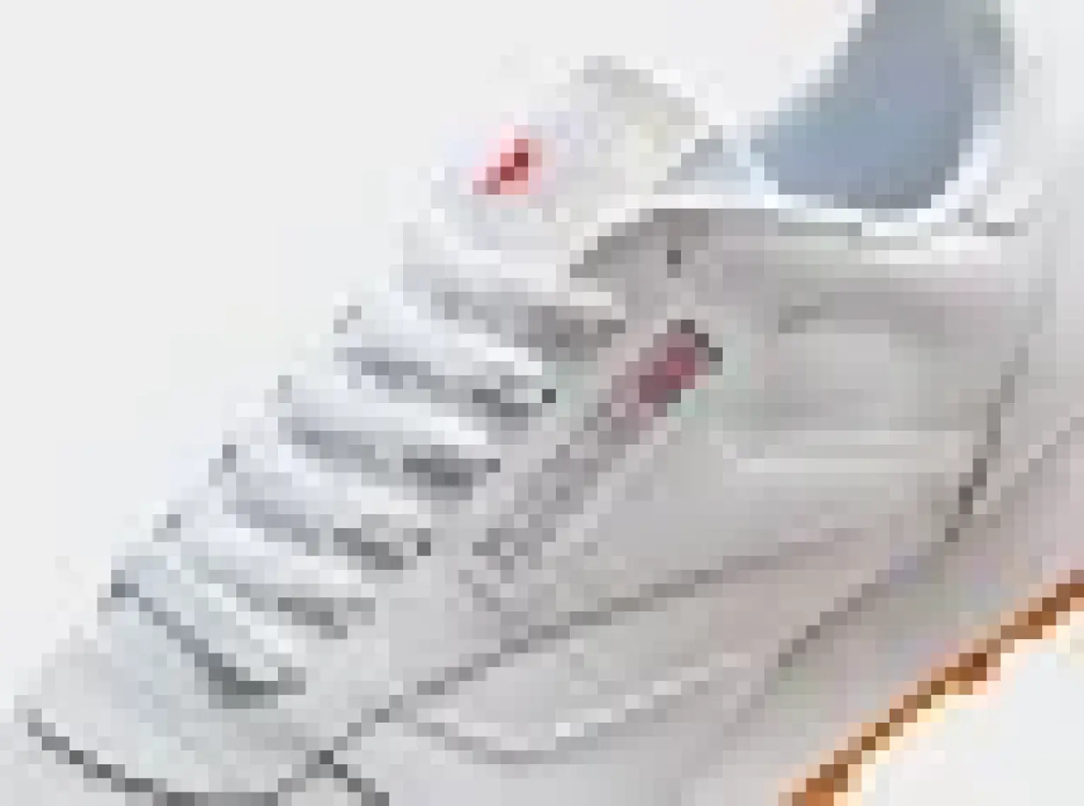 Reebok CLASSIC LEATHER Beyaz Unisex Sneaker