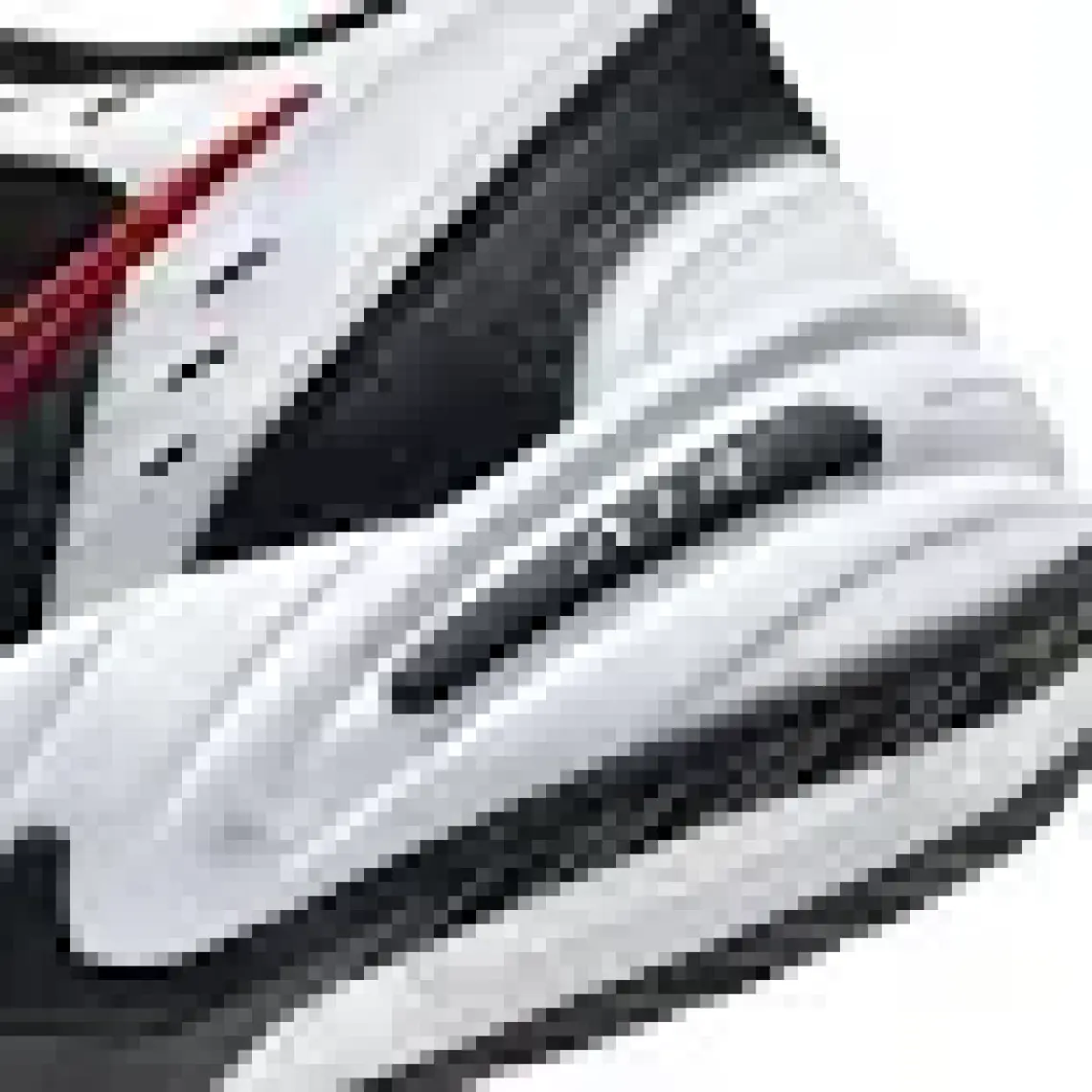 Nike Air Monarch IV Erkek Spor Ayakkabı 415445-101