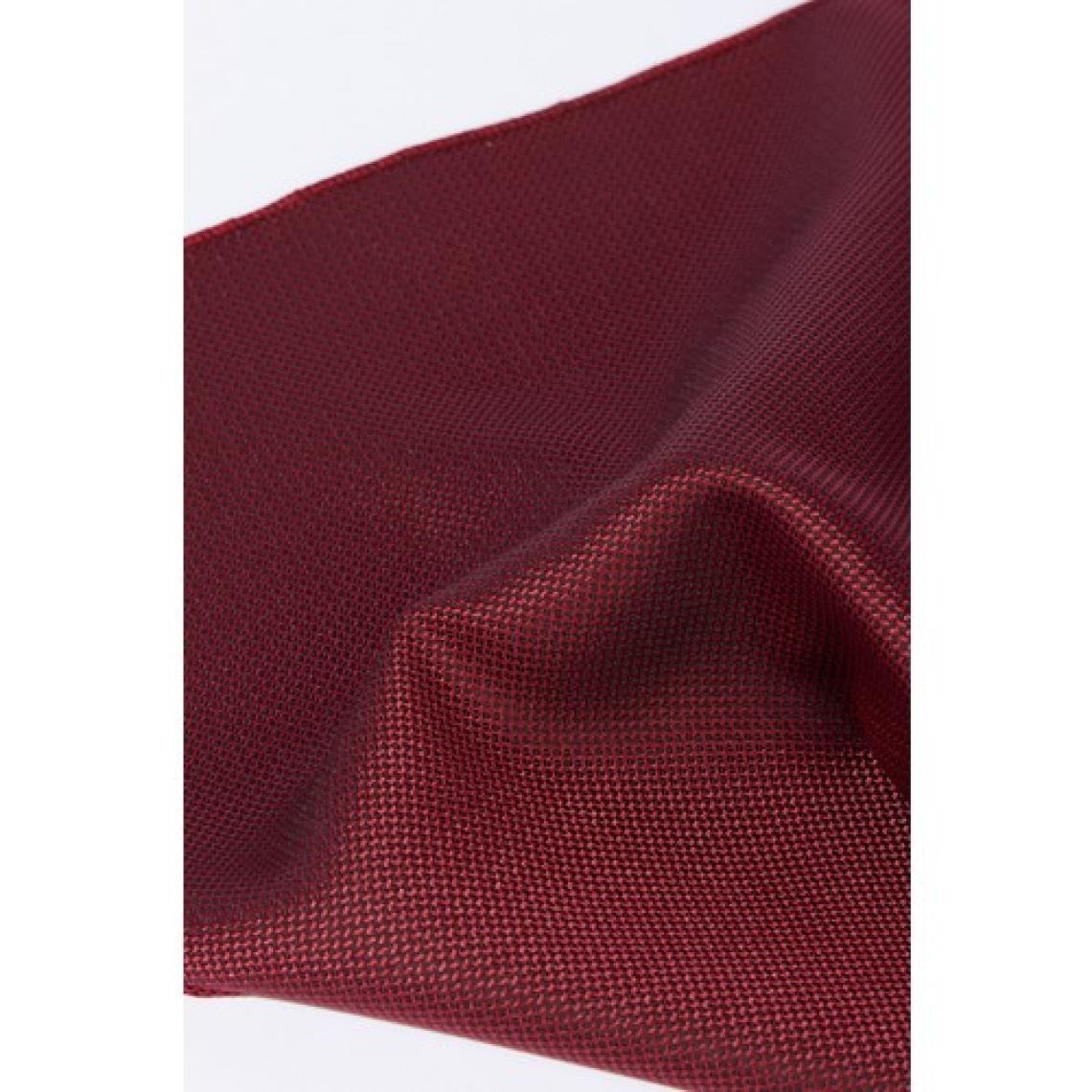 ALTINYILDIZ CLASSICS Erkek Bordo Kravat-Mendil Set