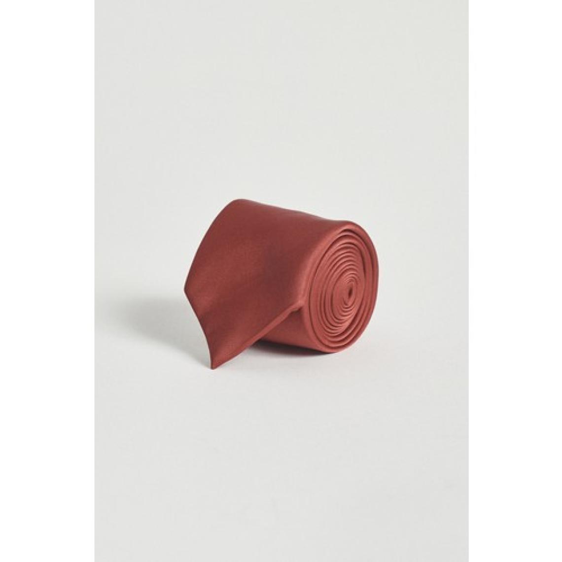 ALTINYILDIZ CLASSICS Erkek Bordo Kravat