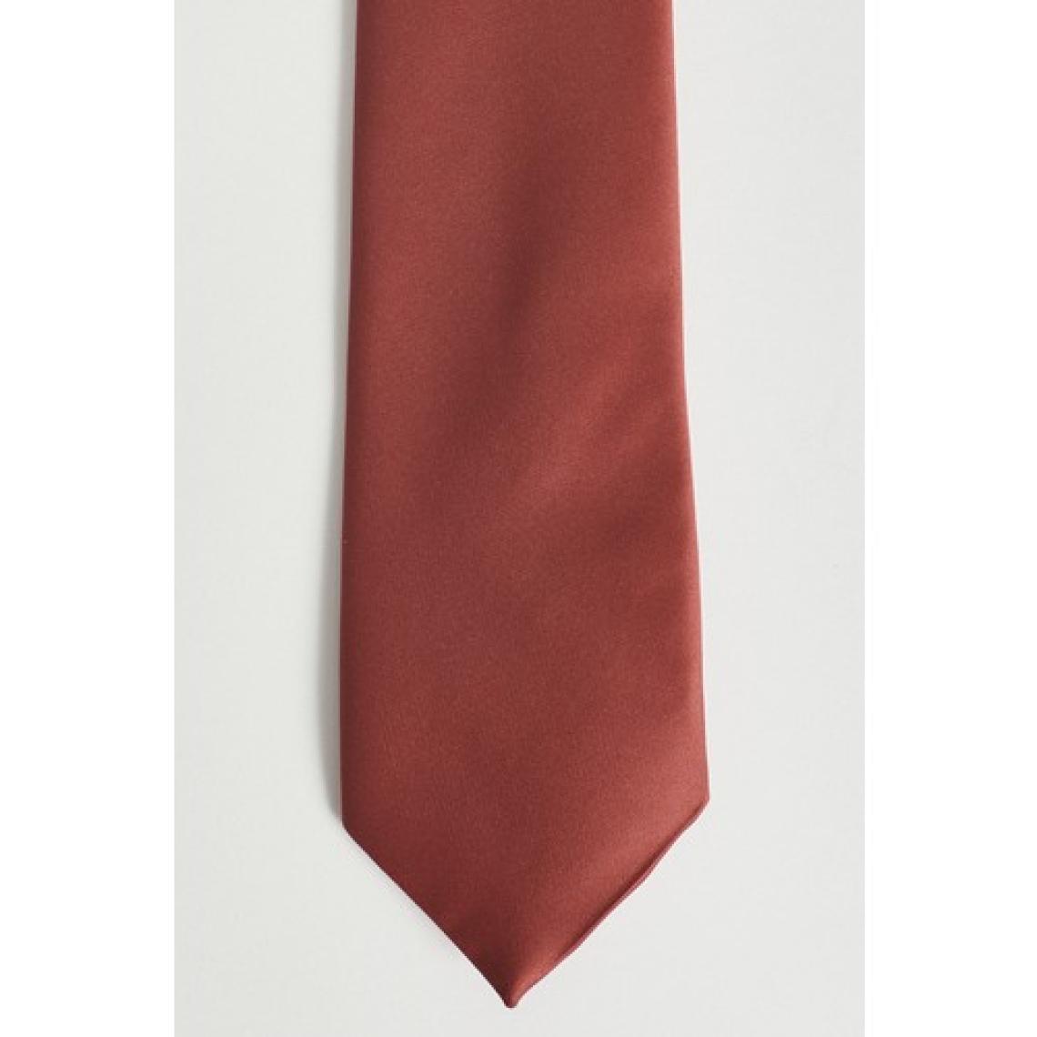 ALTINYILDIZ CLASSICS Erkek Bordo Kravat