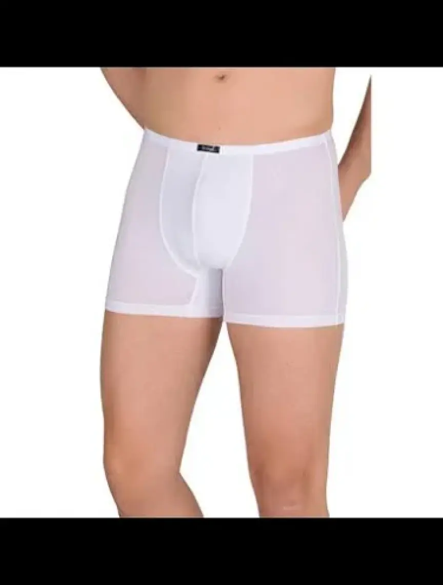 Berrak 4488 Modal Erkek Boxer