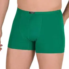 Berrak 4488 Modal Erkek Boxer